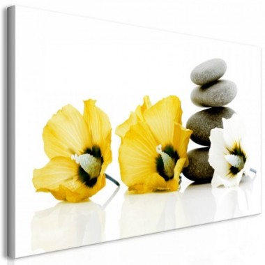 Quadro - Calm Mallow (1 Part) Yellow - 120x60