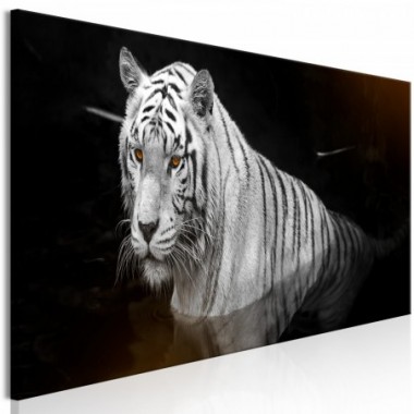 Quadro - Shining Tiger (1 Part) Orange Narrow - 120x40
