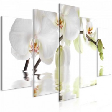 Quadro - Wonderful Orchid (5 Parts) Wide - 200x100