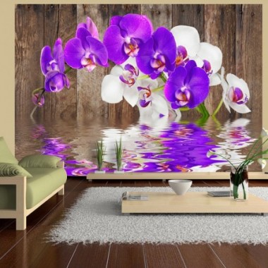 Fotomurale - Connessione - 350x245