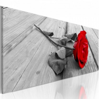 Quadro - Rosa del carmine - 135x45