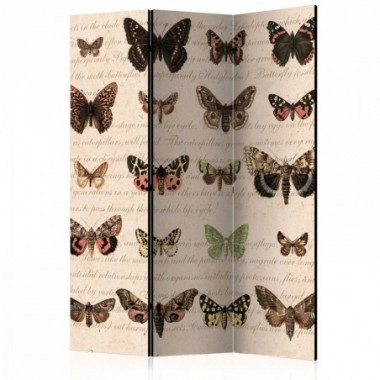 Paravento - Retro Style: Butterflies [Room Dividers]...
