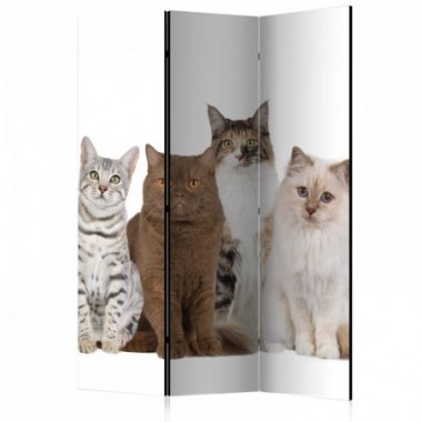 Paravento - Sweet Cats [Room Dividers] - 135x172