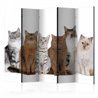 Paravento - Sweet Cats II [Room Dividers] - 225x172