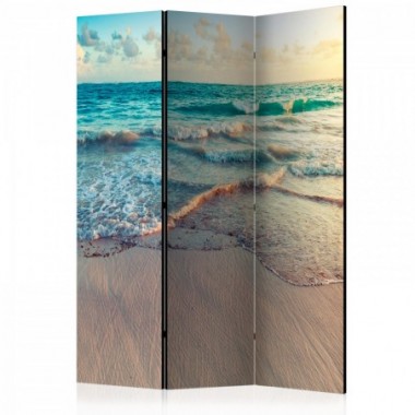 Paravento - Beach in Punta Cana [Room Dividers] -...