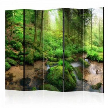 Paravento - Humid Forest II [Room Dividers] - 225x172