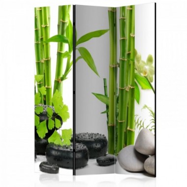 Paravento - Bamboos and Stones [Room Dividers] -...
