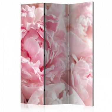Paravento - Sweet Peonies [Room Dividers] - 135x172