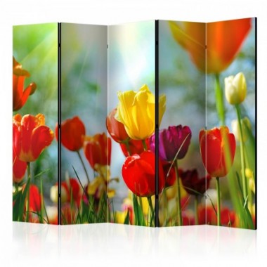 Paravento - Spring Tulips II [Room Dividers] - 225x172