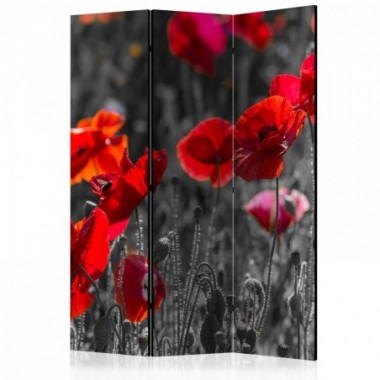 Paravento - Red Poppies [Room Dividers] - 135x172
