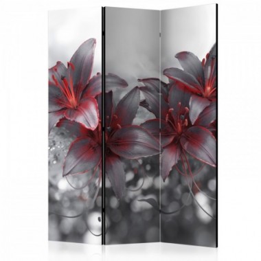 Paravento - Shadow of Passion [Room Dividers] - 135x172