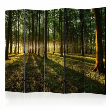 Paravento - Morning in the Forest II [Room Dividers]...