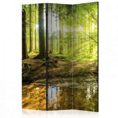 Paravento - Forest Lake [Room Dividers] - 135x172