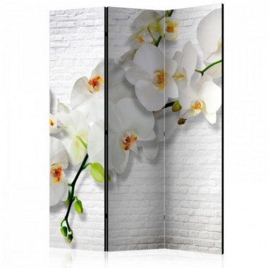 Paravento - The Urban Orchid [Room Dividers] - 135x172