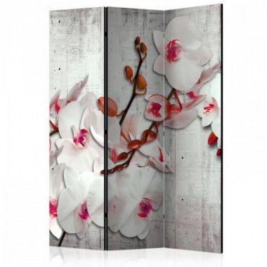 Paravento - Concrete Orchid [Room Dividers] - 135x172