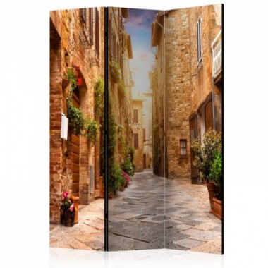 Paravento - Colourful Street in Tuscany [Room...