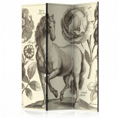 Paravento - Horse [Room Dividers] - 135x172