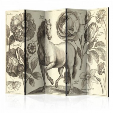 Paravento - Horse II [Room Dividers] - 225x172