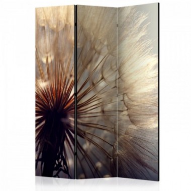 Paravento - Dandelion Kiss [Room Dividers] - 135x172