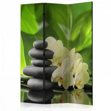 Paravento - Spa Garden [Room Dividers] - 135x172