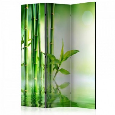 Paravento - Green Bamboo [Room Dividers] - 135x172