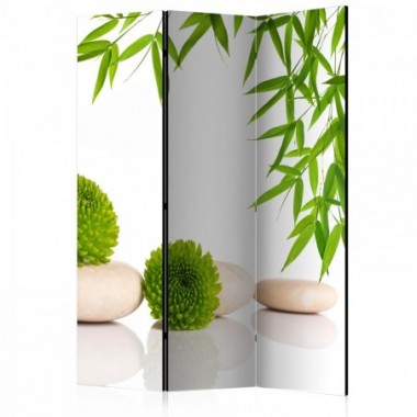 Paravento - Green Relax [Room Dividers] - 135x172