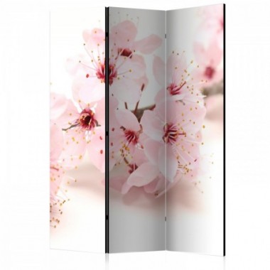 Paravento - Cherry Blossom [Room Dividers] - 135x172