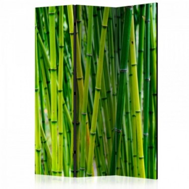 Paravento - Bamboo Forest [Room Dividers] - 135x172