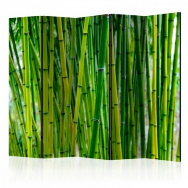 Paravento - Bamboo Forest II [Room Dividers] - 225x172