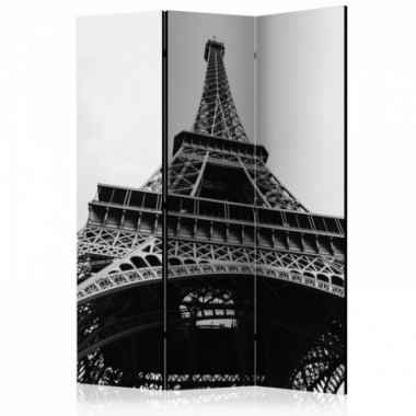 Paravento - Paris Giant [Room Dividers] - 135x172