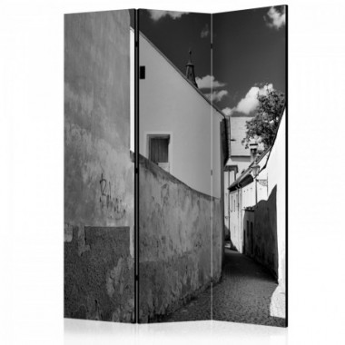 Paravento - Narrow Street [Room Dividers] - 135x172