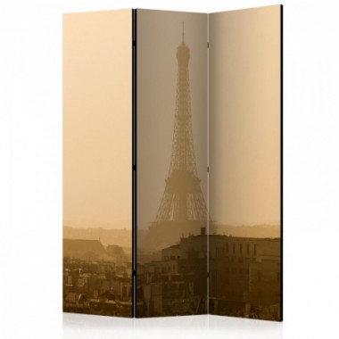Paravento - Paris at Dawn [Room Dividers] - 135x172
