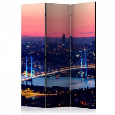 Paravento - Bosphorus Bridge [Room Dividers] - 135x172