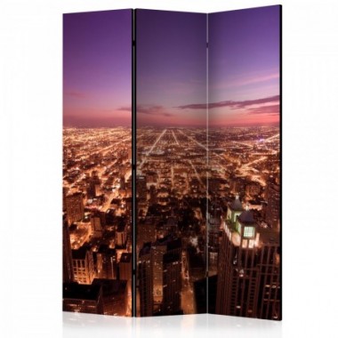 Paravento - Chicago Panorama [Room Dividers] - 135x172
