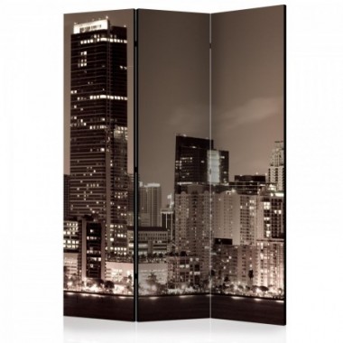 Paravento - Miami in Sepia [Room Dividers] - 135x172