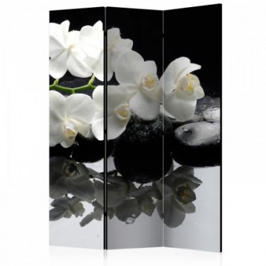 Paravento - Spa, Stones and Orchid [Room Dividers] -...