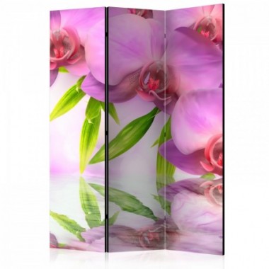 Paravento - Orchid Spa [Room Dividers] - 135x172