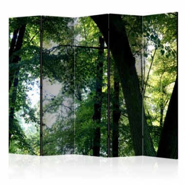 Paravento - Spring in the Park II [Room Dividers] -...
