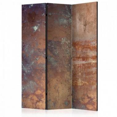 Paravento - Rusty Plate [Room Dividers] - 135x172