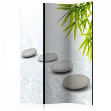 Paravento - Stoic Calm [Room Dividers] - 135x172