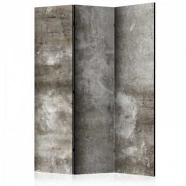 Paravento - Cold Concrete [Room Dividers] - 135x172