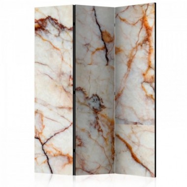 Paravento - Marble Plate [Room Dividers] - 135x172
