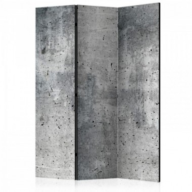 Paravento - Fresh Concrete [Room Dividers] - 135x172