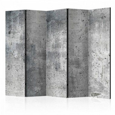 Paravento - Fresh Concrete II [Room Dividers] - 225x172