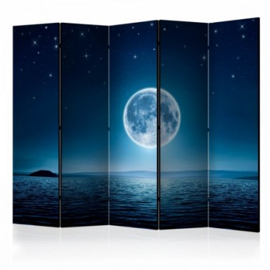 Paravento - Moonlit night II [Room Dividers] - 225x172