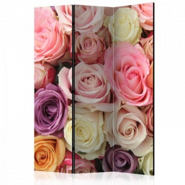 Paravento - Pastel roses [Room Dividers] - 135x172