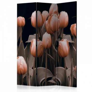 Paravento - Ladies among the flowers [Room Dividers]...